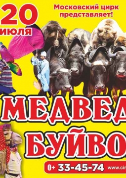 Медведи на буйволах | Цирк
