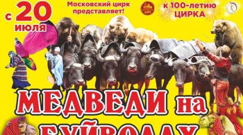 Медведи на буйволах | Цирк
