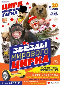 Звезды мирового цирка