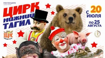 Звезды мирового цирка