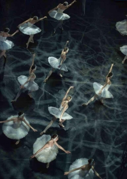 Лебединое озеро | Театр балета им. П.И. Чайковского