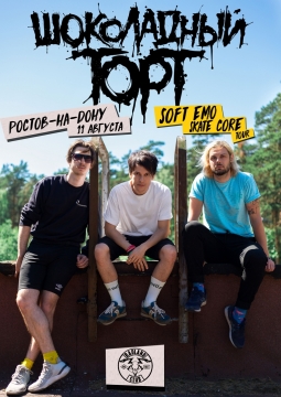 Шоколадный торт