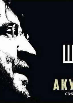 Акустический вечер песен Юрия Шевчука и ДДТ