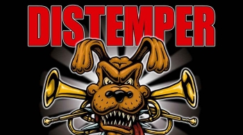 Distemper