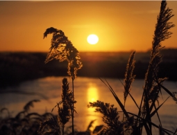 Гороскоп для успешных женщин c 5 по 11 августа