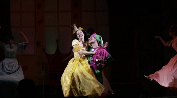 Бременские музыканты | Новосибирский музыкальный театр