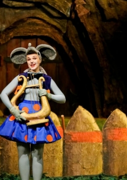 Терем-теремок | Омский музыкальный театр