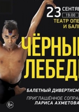 Черный лебедь