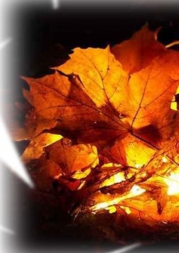 Музыки осенней фейерверк