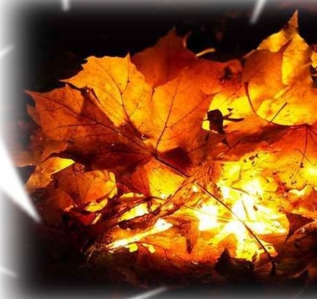 Музыки осенней фейерверк