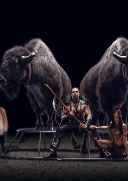 Цирк-шапито «Тотем»