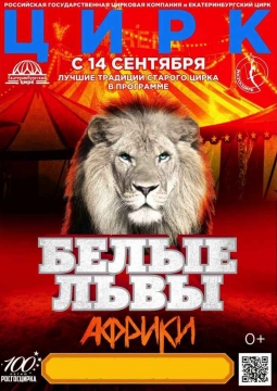 Цирк | Белые львы