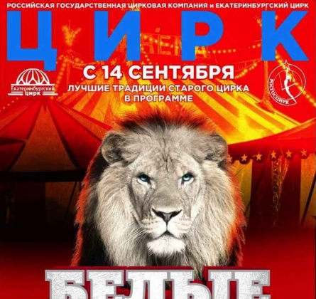 Цирк | Белые львы