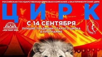 Цирк | Белые львы