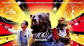 Звезды мирового цирка