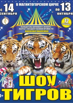 Тайна королевских тигров | Цирк