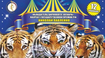 Тайна королевских тигров | Цирк