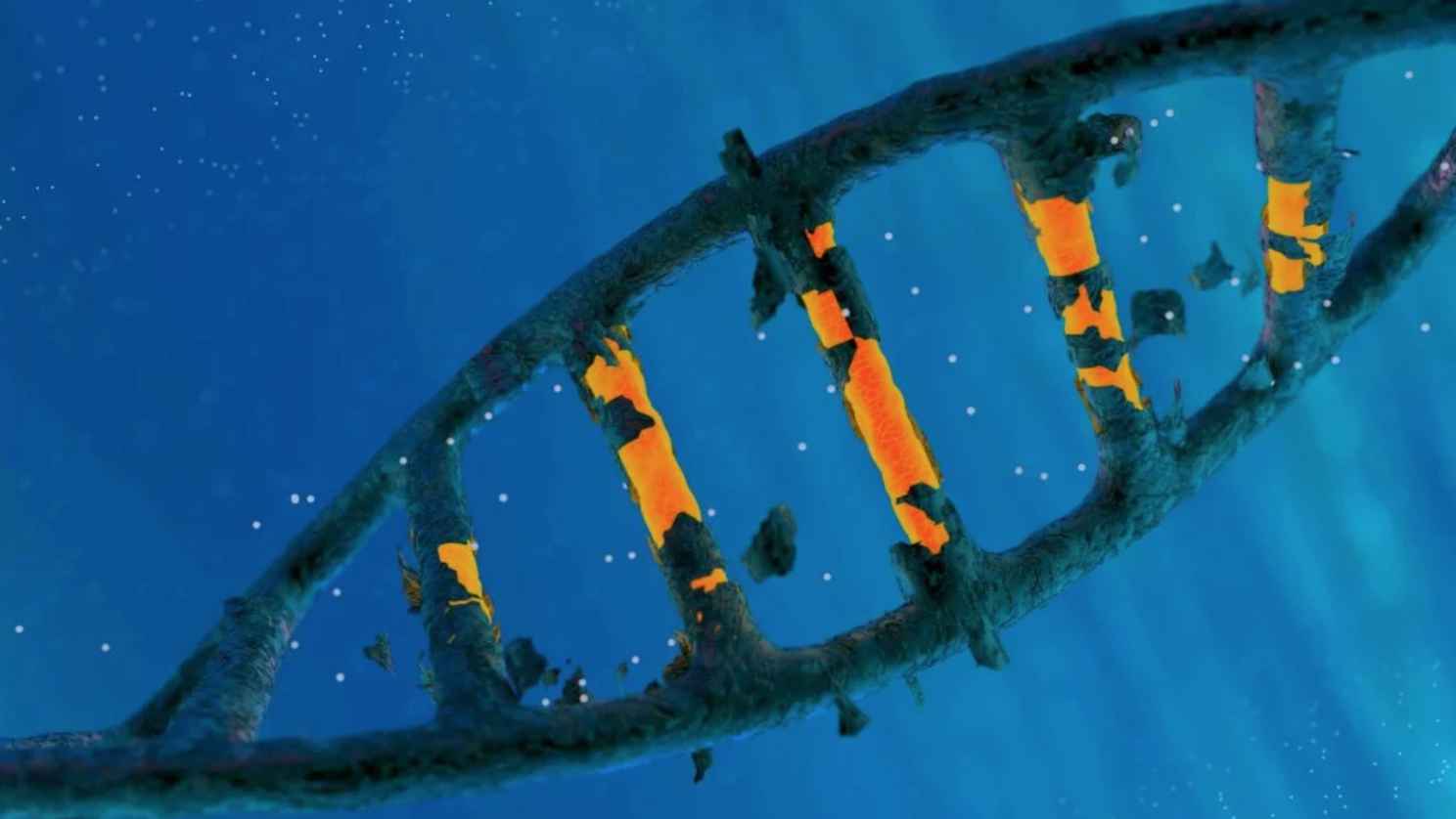 CRISPR стал мощнее, благодаря «выключателю»