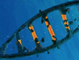 CRISPR стал мощнее, благодаря «выключателю»