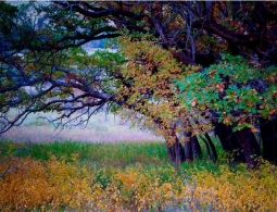 Гороскоп для успешных женщин c 9 по 15 сентября