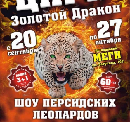 Золотой дракон | Цирк шапито