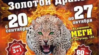 Золотой дракон | Цирк шапито