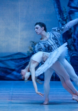 Лебединое озеро | Русский балет В. Гордеева