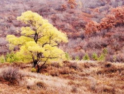 Гороскоп для успешных женщин c 23 по 29 сентября