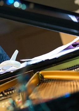 Классика & Пташка