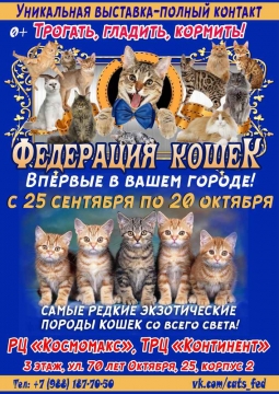 Выставка кошек