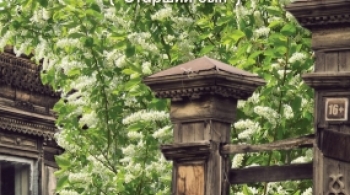 Сарафановы | ТЮЗ им Вампилова