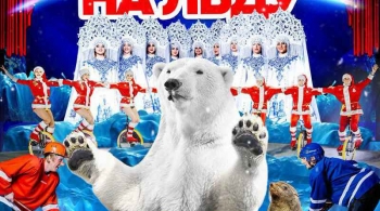 Айсберг | Цирк на льду