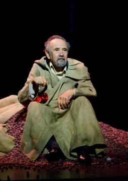 Вишнёвый сад | Театр драмы имени А. В. Кольцова