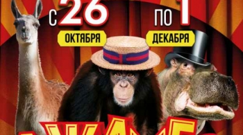 ДЖАМБО | Цирк