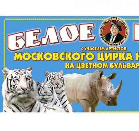 Ёлка в цирке | Шоу белых тигров