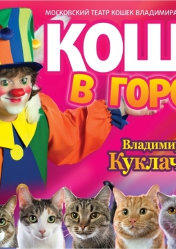 Кошки в городе | Владимир Куклачёв