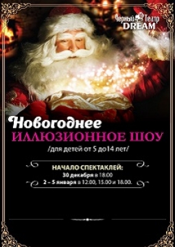 Новогоднее иллюзионное шоу | СБС Мегамолл