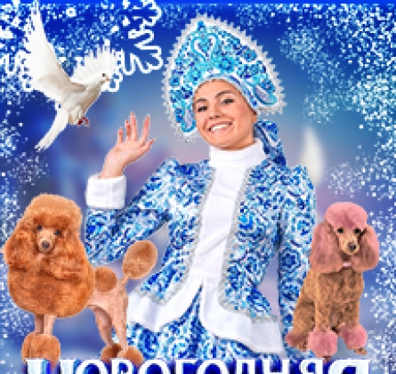 Новогодняя театрально-цирковая сказка