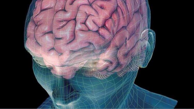 Как мозг создает и извлекает воспоминания?