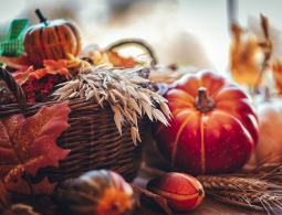 Гороскоп для успешных женщин с 28 октября по 3 ноября