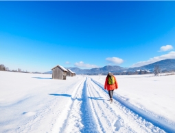 Гороскоп для успешных женщин c 4 по 10 февраля