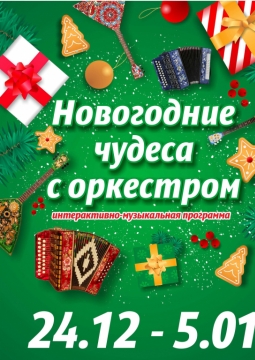 Новогодние чудеса с оркестром