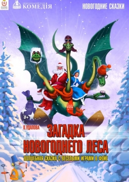 Загадка новогоднего леса | Нижегородский театр 