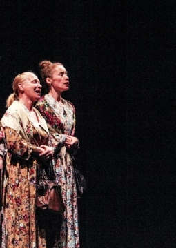 Земля Эльзы | Кировский драмтеатр