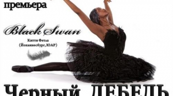 Черный лебедь