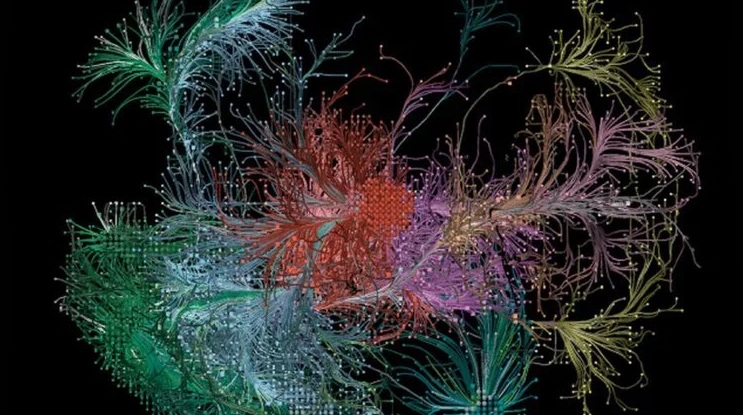 Как клетки мозга составляют карту воспоминаний?
