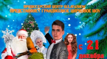 Тайна Новогодней Звезды | Цирковое Шоу