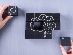 Игры разума: почему мы помним только хорошее