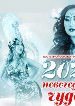 Балетно-акробатическое шоу «2020 новогодних чудес»