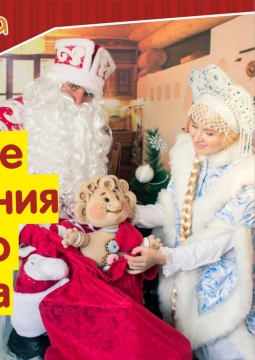 Новогоднее путешествие пряничного человечка